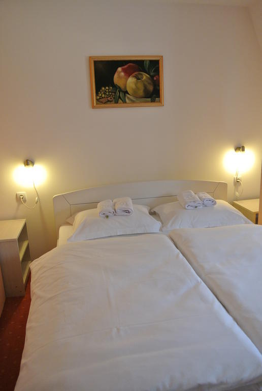 Garni Hotel Beograd Negotin Rum bild